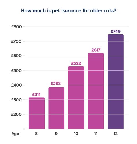 moneysupermarket pet insurance for cats.